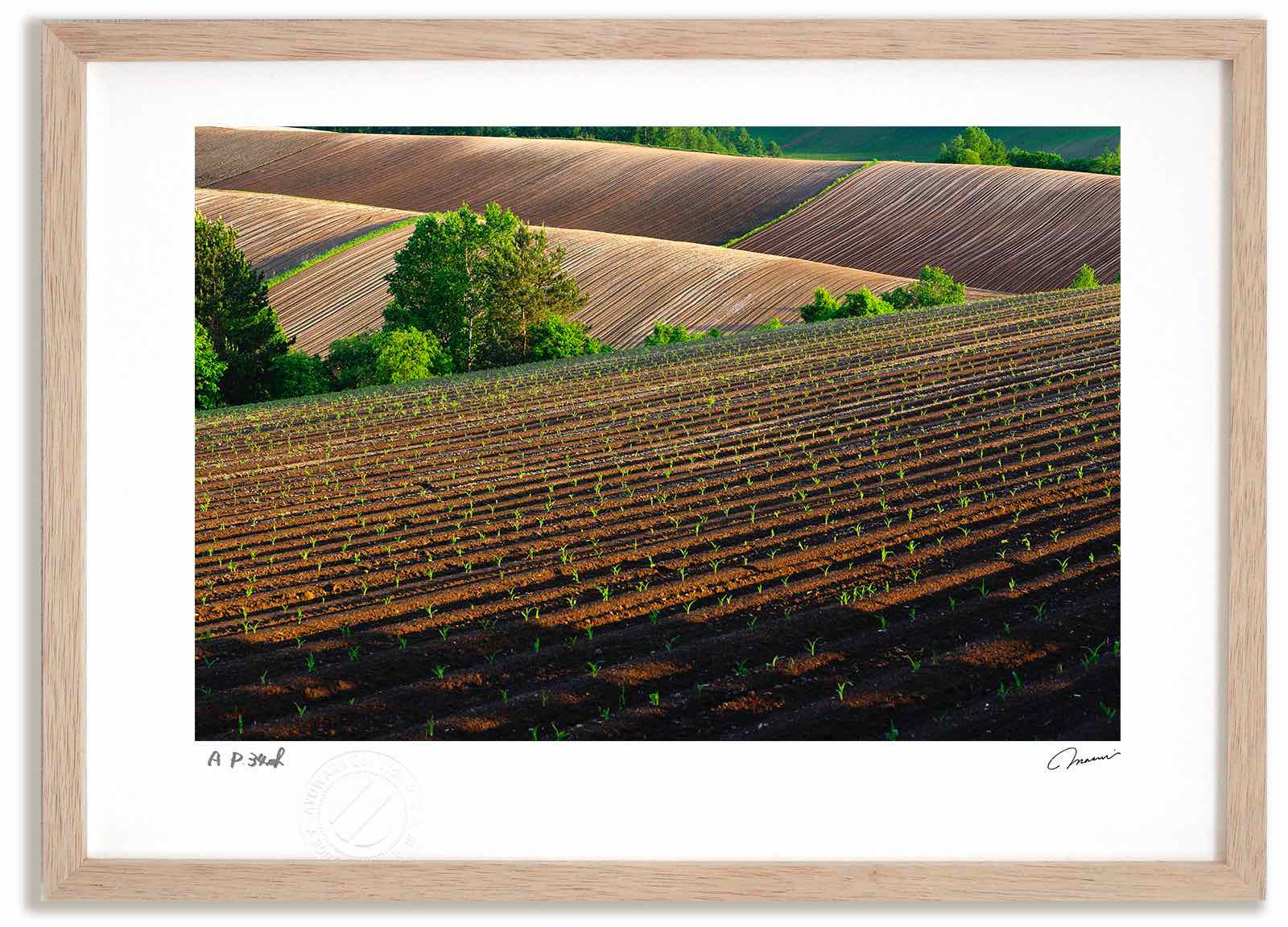 アートフォト 絵画 新緑の丘2 高橋真澄/インテリア 額入り 額装込 風景画 油絵 ポスター アート アートパネル リビング 玄関 プレゼント モダン アートフレーム 飾る おしゃれ 壁掛け 絵|絵画・壁飾り 風景専門店あゆわら