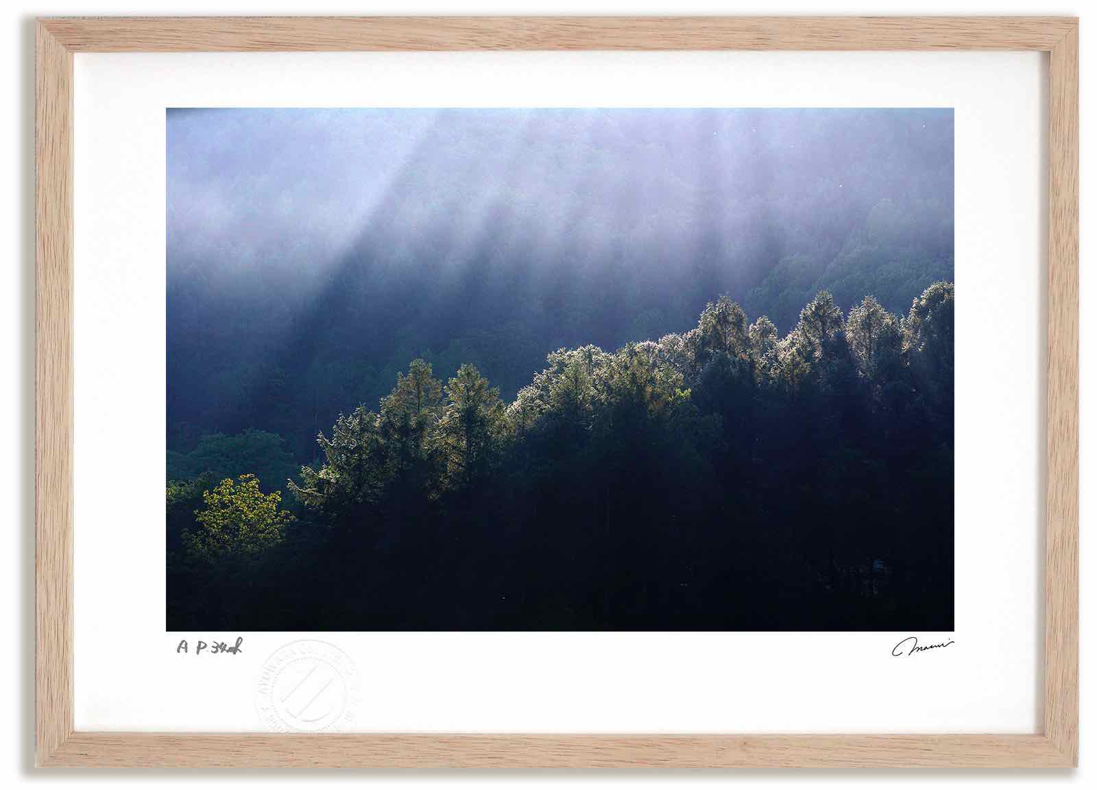アートフォト 絵画 光芒3 高橋真澄/インテリア 額入り 額装込 風景画 油絵 ポスター アート アートパネル リビング 玄関 プレゼント モダン アートフレーム 飾る おしゃれ 壁掛け 絵