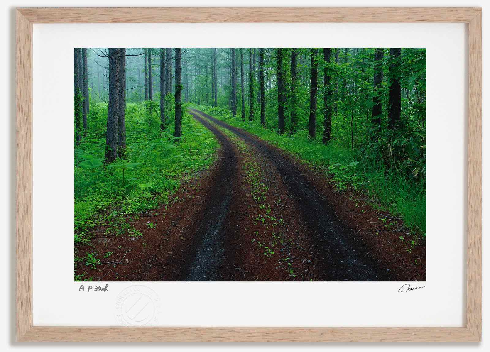 アートフォト 絵画 新緑のカラマツ林と道1 高橋真澄/インテリア 額入り 額装込 風景画 油絵 ポスター アート アートパネル リビング 玄関 プレゼント モダン アートフレーム 飾る おしゃれ 壁掛け 絵|絵画・壁飾り 風景専門店あゆわら