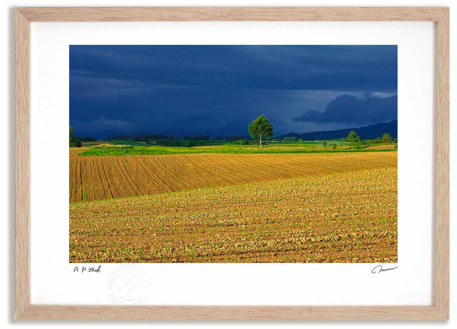 アートフォト 絵画 新緑の丘 夕方2 高橋真澄/インテリア 額入り 額装込 風景画 油絵 ポスター アート アートパネル リビング 玄関 プレゼント モダン アートフレーム 飾る おしゃれ 壁掛け 絵|絵画・壁飾り 風景専門店あゆわら