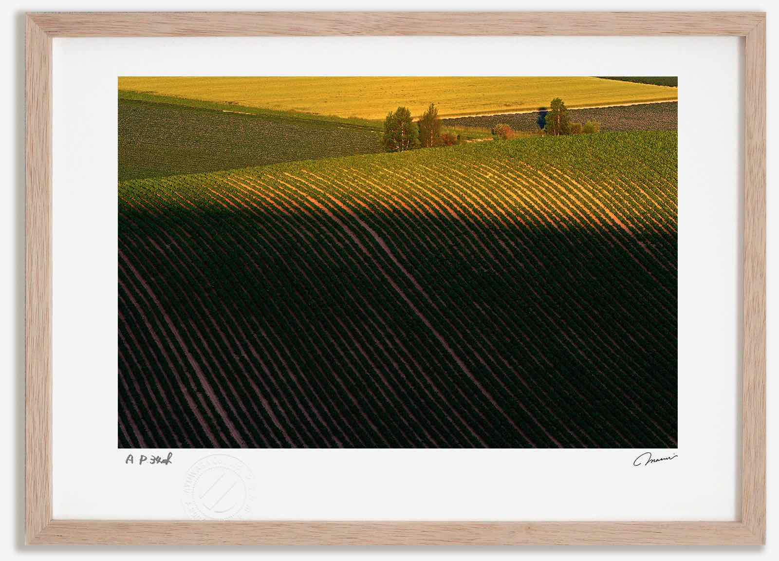 アートフォト 絵画 夕日当る丘 高橋真澄/インテリア 額入り 額装込 風景画 油絵 ポスター アート アートパネル リビング 玄関 プレゼント モダン アートフレーム 飾る おしゃれ 壁掛け 絵｜絵画・壁飾り　風景専門店あゆわら