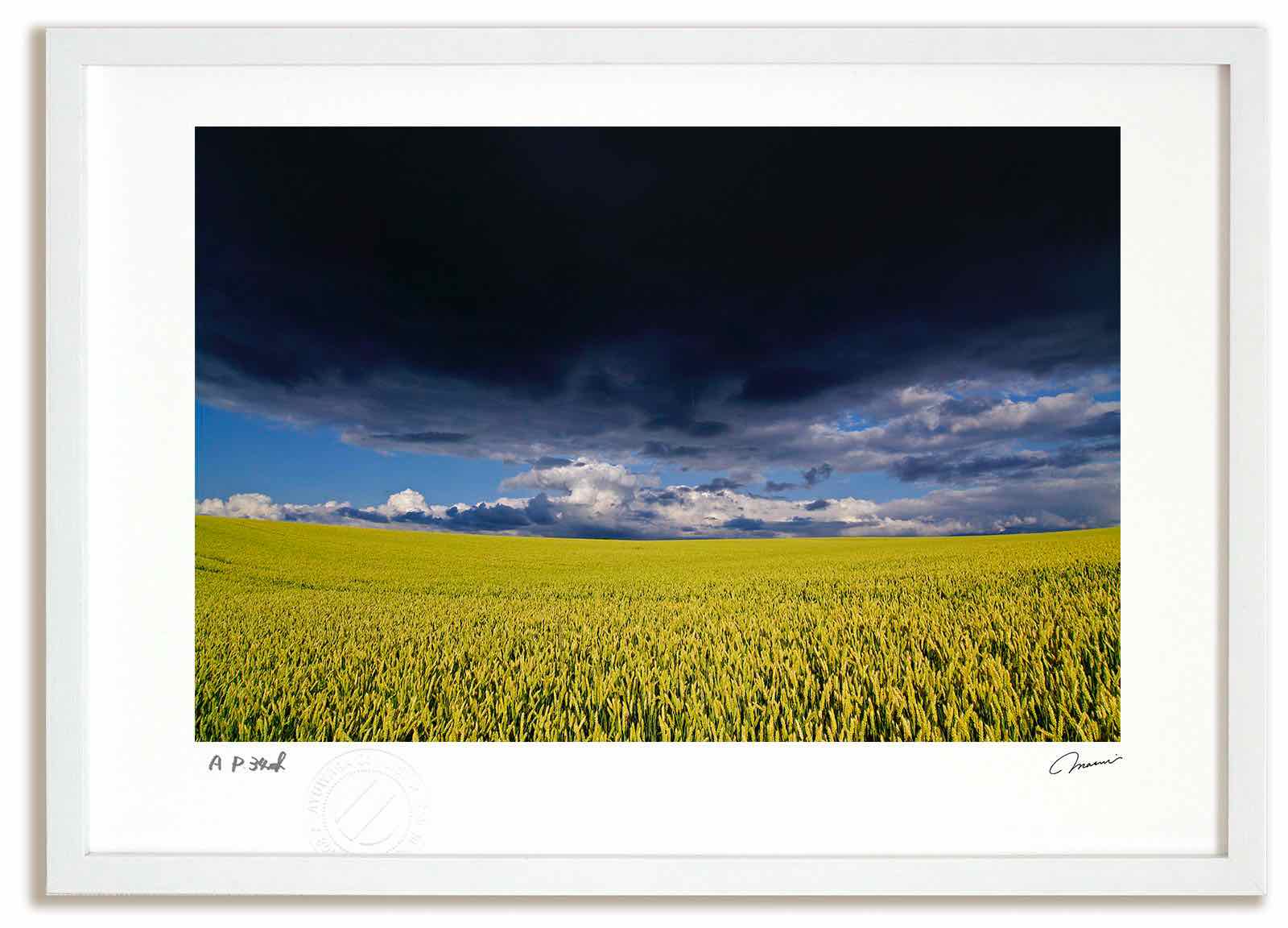 アートフォト 絵画 嵐前の麦畑 高橋真澄/インテリア 額入り 額装込 風景画 油絵 ポスター アート アートパネル リビング 玄関 プレゼント モダン アートフレーム 飾る おしゃれ 壁掛け 絵