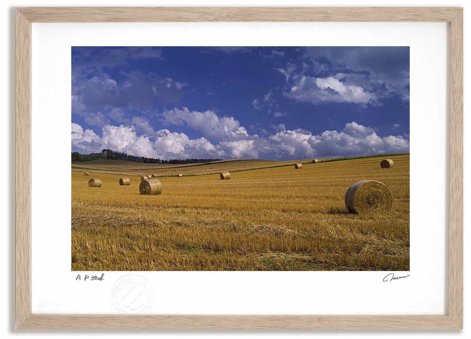 楽天市場】アートフォト 絵画 牧草ロールと雲1 高橋真澄/インテリア 額