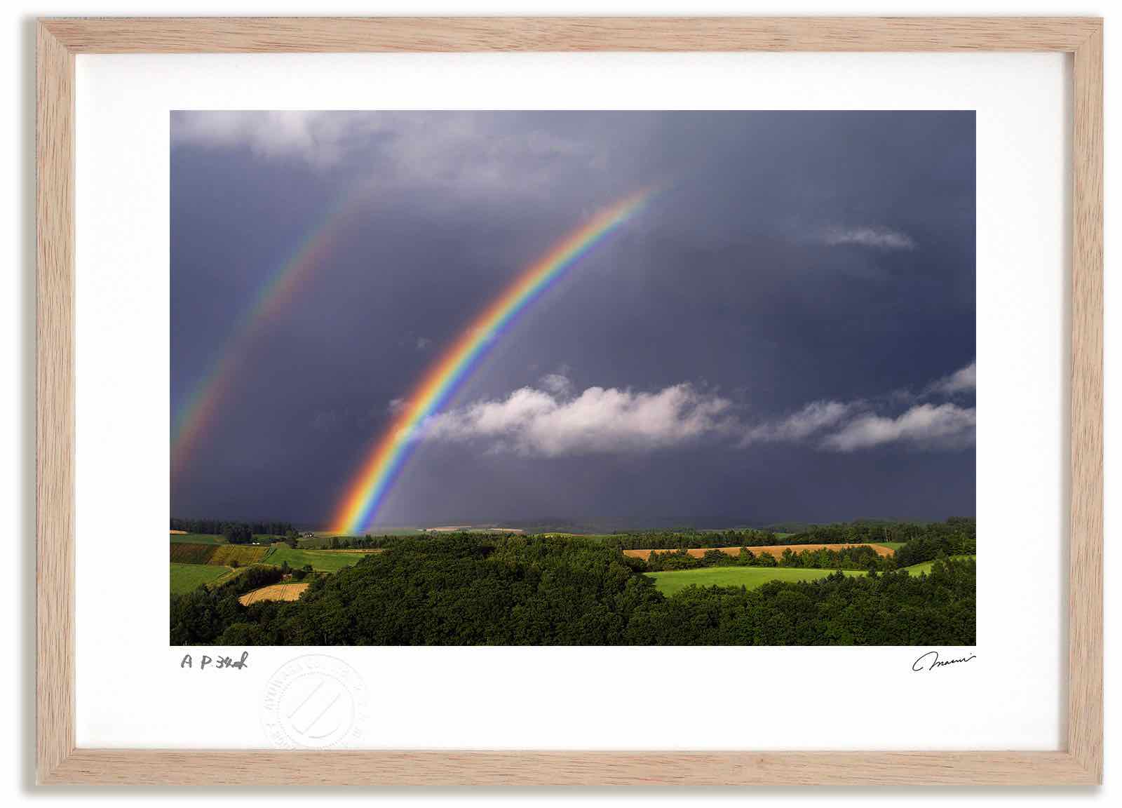 楽天市場】【抽選ポイント100％バック】アートフォト 絵画 田んぼの虹2