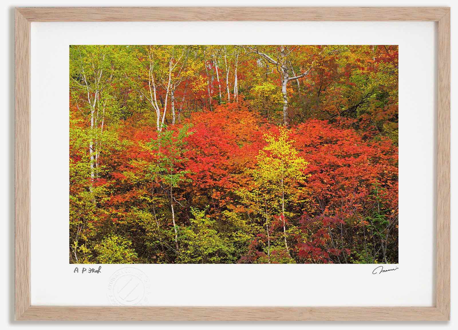 アートフォト 絵画 十勝岳温泉の紅葉1 高橋真澄/インテリア 額入り 額装込 風景画 油絵 ポスター アート アートパネル リビング 玄関 プレゼント モダン アートフレーム 飾る おしゃれ 壁掛け 絵|絵画・壁飾り 風景専門店あゆわら