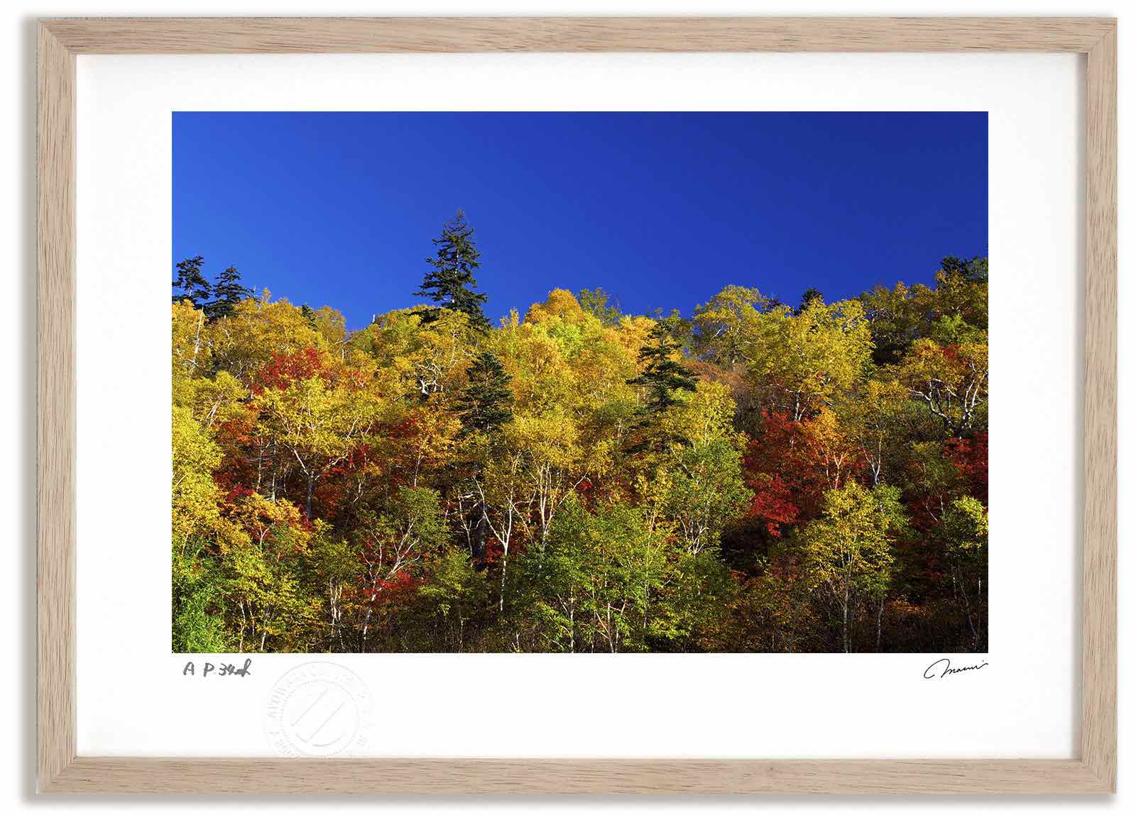 アートフォト 絵画 十勝岳温泉の紅葉2 高橋真澄/インテリア 額入り 額装込 風景画 油絵 ポスター アート アートパネル リビング 玄関 プレゼント モダン アートフレーム 飾る おしゃれ 壁掛け 絵|絵画・壁飾り 風景専門店あゆわら