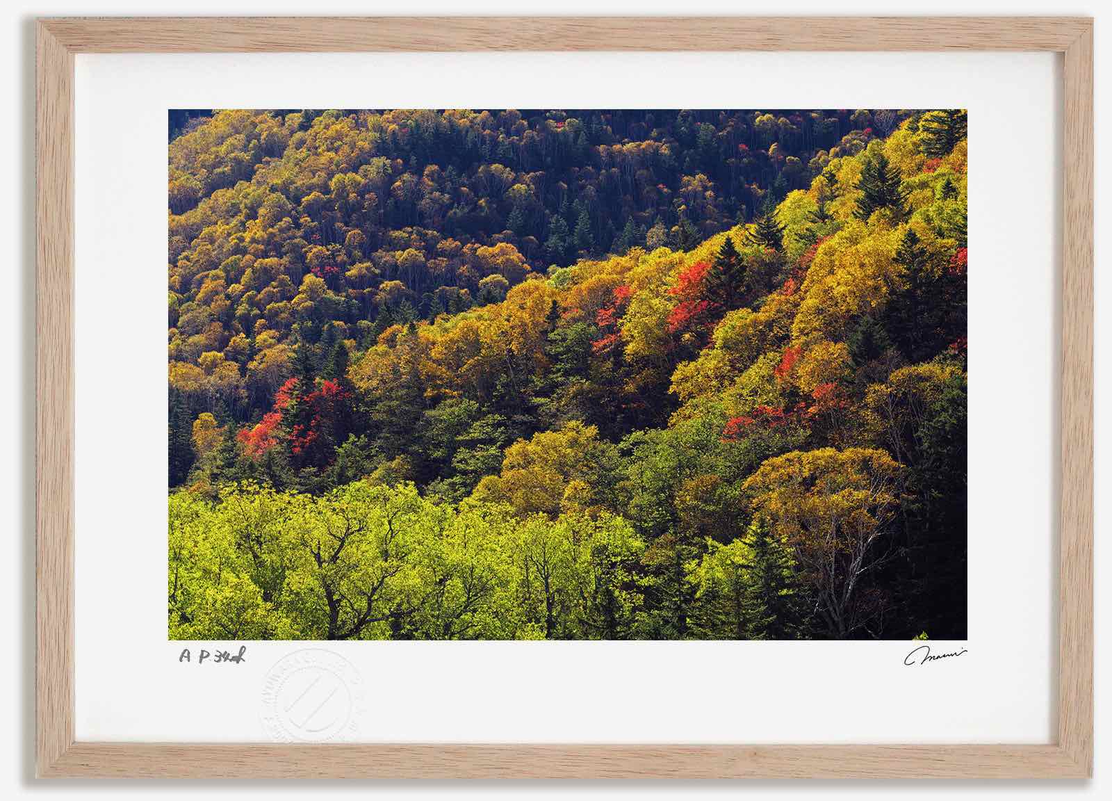 楽天市場】アートフォト 絵画 大雪山の紅葉2 高橋真澄/インテリア 額