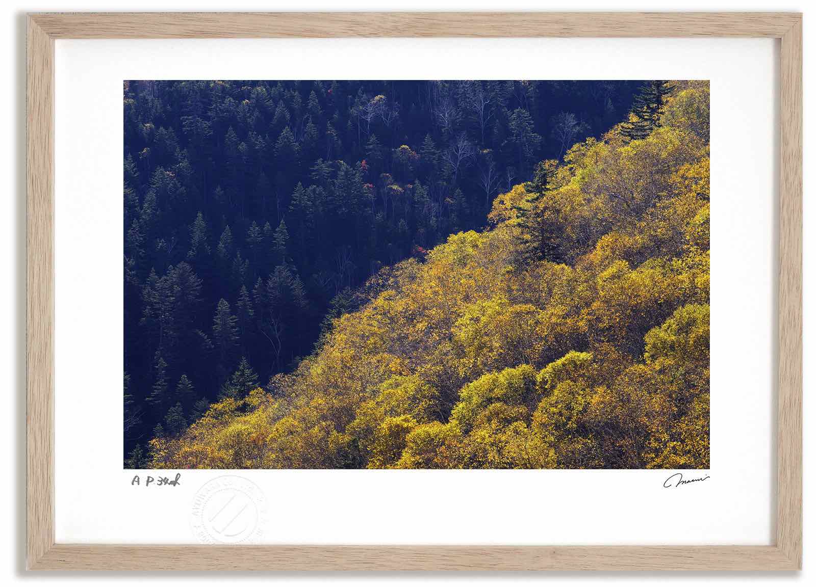アートフォト 絵画 大雪山の紅葉6 高橋真澄/インテリア 額入り 額装込 風景画 油絵 ポスター アート アートパネル リビング 玄関 プレゼント モダン アートフレーム 飾る おしゃれ 壁掛け 絵 4,565円