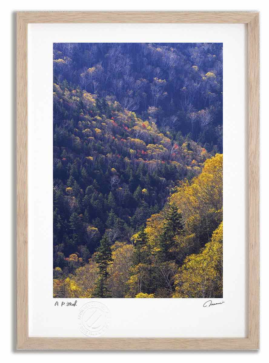アートフォト 絵画 大雪山の紅葉7 高橋真澄/インテリア 額入り 額装込 風景画 油絵 ポスター アート アートパネル リビング 玄関 プレゼント モダン アートフレーム 飾る おしゃれ 壁掛け 絵｜絵画・壁飾り　風景専門店あゆわら