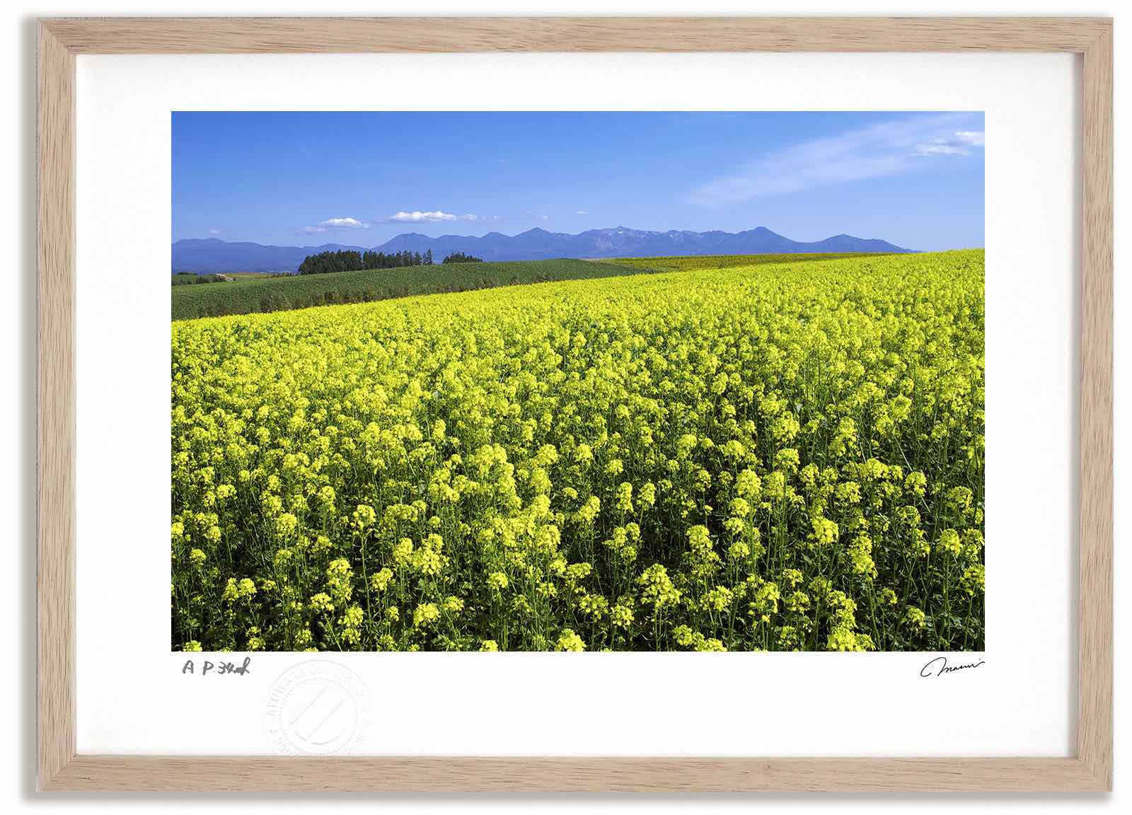 アートフォト 絵画 キガラシ畑8 高橋真澄/インテリア 額入り 額装込 風景画 油絵 ポスター アート アートパネル リビング 玄関 プレゼント モダン アートフレーム 飾る おしゃれ 壁掛け 絵｜絵画・壁飾り　風景専門店あゆわら