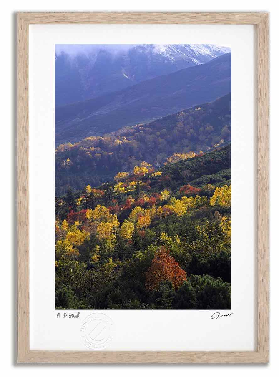アートフォト 絵画 紅葉の望岳台 高橋真澄/インテリア 額入り 額装込 風景画 油絵 ポスター アート アートパネル リビング 玄関 プレゼント モダン アートフレーム 飾る おしゃれ 壁掛け 絵｜絵画・壁飾り　風景専門店あゆわら