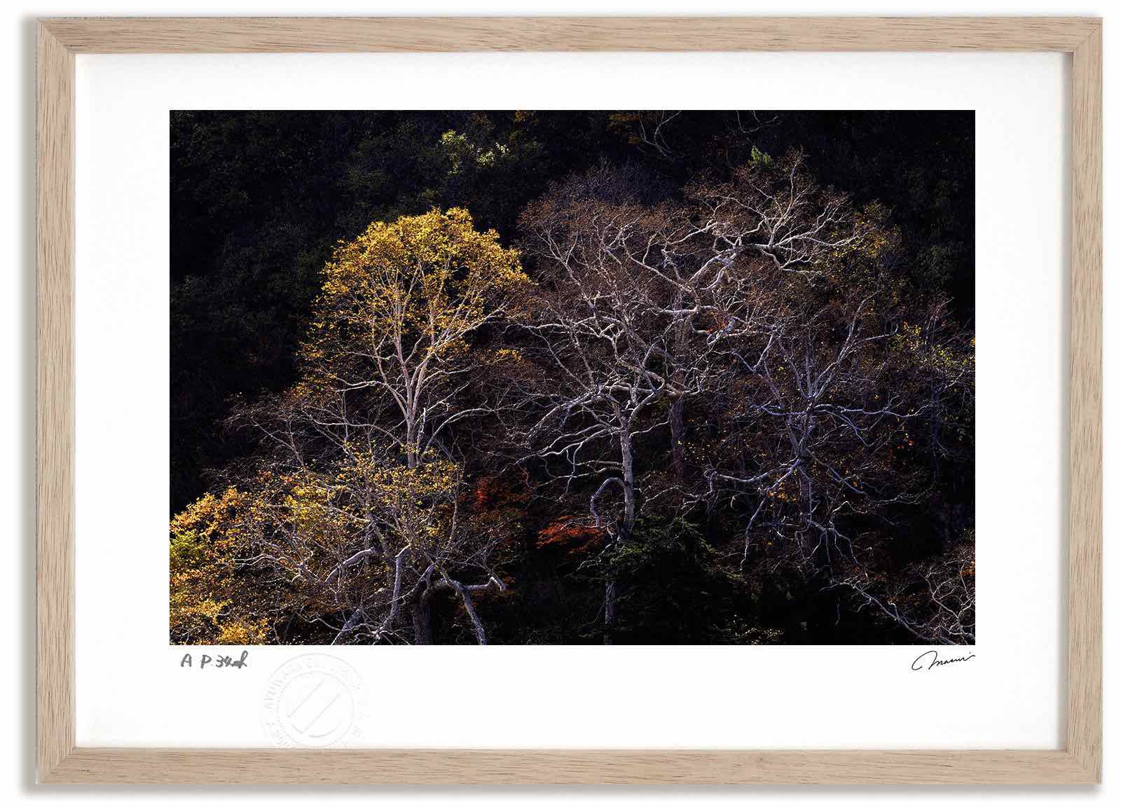 アートフォト 絵画 紅葉の十勝岳温泉1 高橋真澄/インテリア 額入り 額装込 風景画 油絵 ポスター アート アートパネル リビング 玄関 プレゼント モダン アートフレーム 飾る おしゃれ 壁掛け 絵|絵画・壁飾り 風景専門店あゆわら