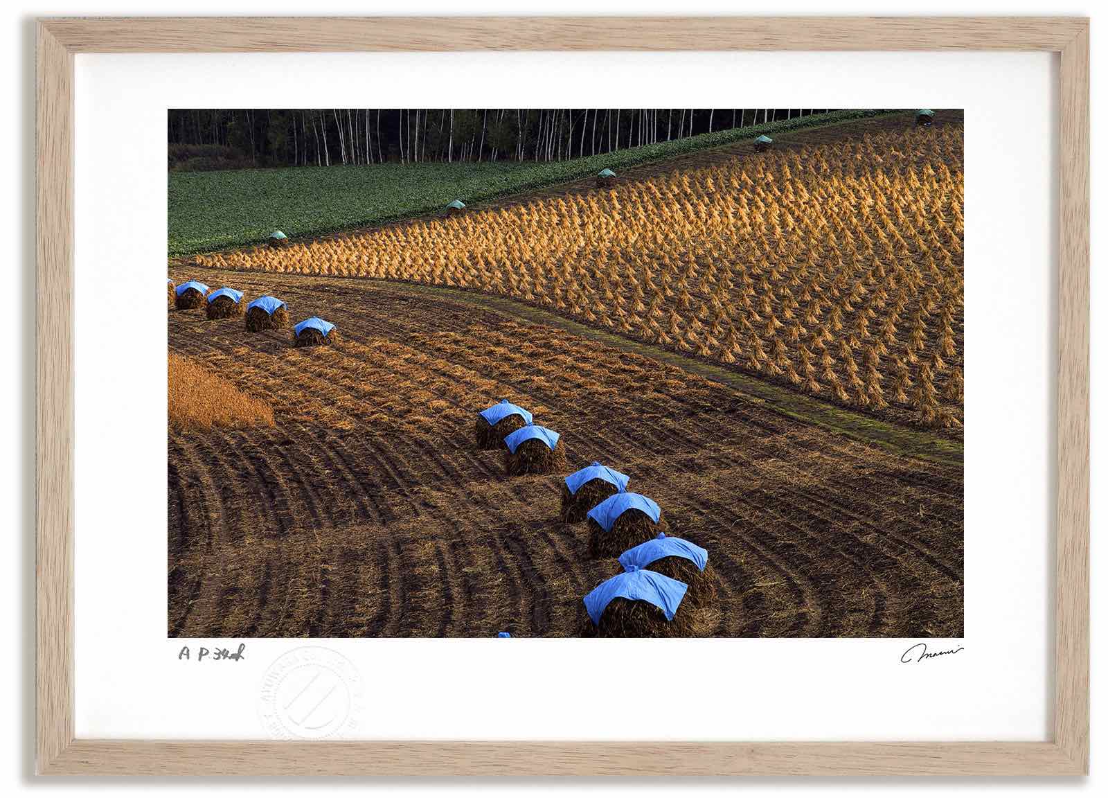 アートフォト 絵画 豆積みと文様1 高橋真澄/インテリア 額入り 額装込 風景画 油絵 ポスター アート アートパネル リビング 玄関 プレゼント モダン アートフレーム 飾る おしゃれ 壁掛け 絵