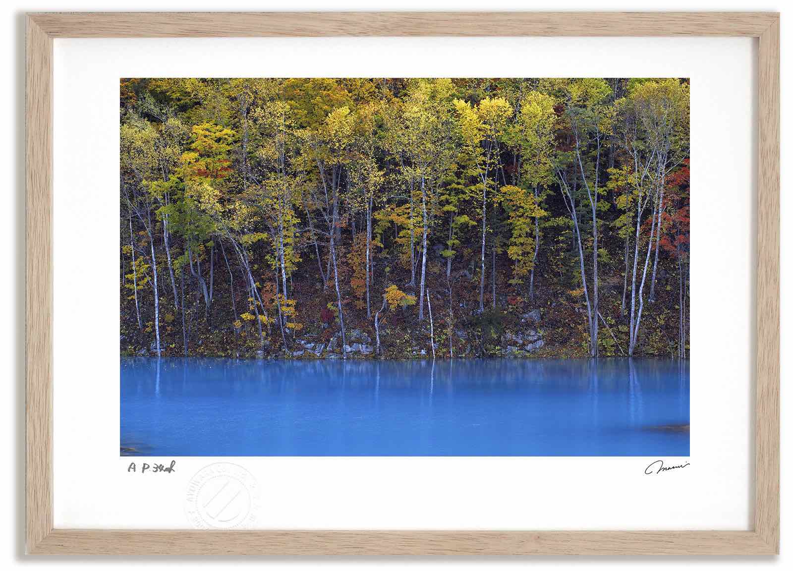 アートフォト 絵画 青い美瑛川の紅葉3 高橋真澄/インテリア 額入り 額装込 風景画 油絵 ポスター アート アートパネル リビング 玄関 プレゼント モダン アートフレーム 飾る おしゃれ 壁掛け 絵