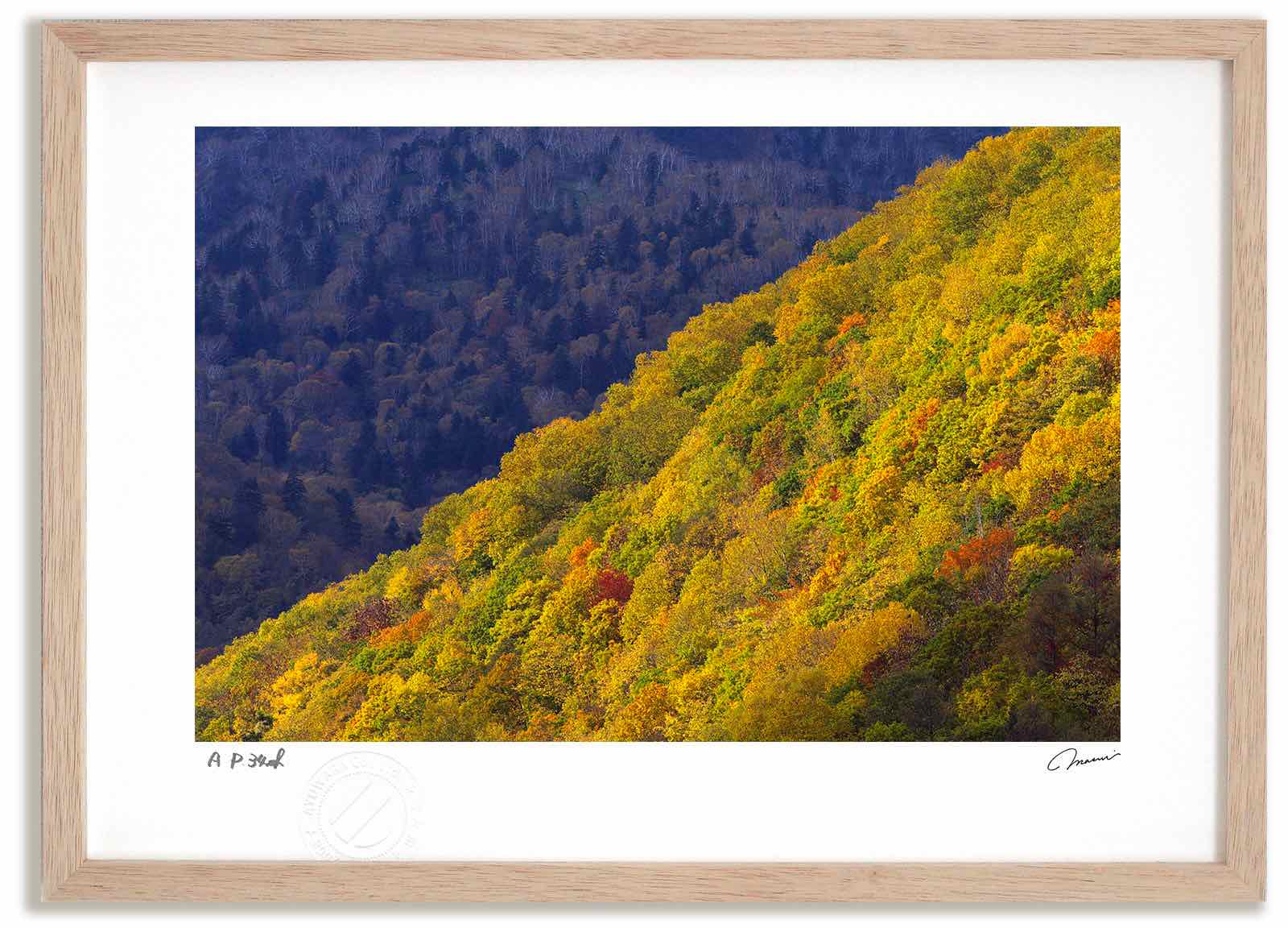 アートフォト 絵画 紅葉の山 高橋真澄/インテリア 額入り 額装込 風景画 油絵 ポスター アート アートパネル リビング 玄関 プレゼント モダン アートフレーム 飾る おしゃれ 壁掛け 絵