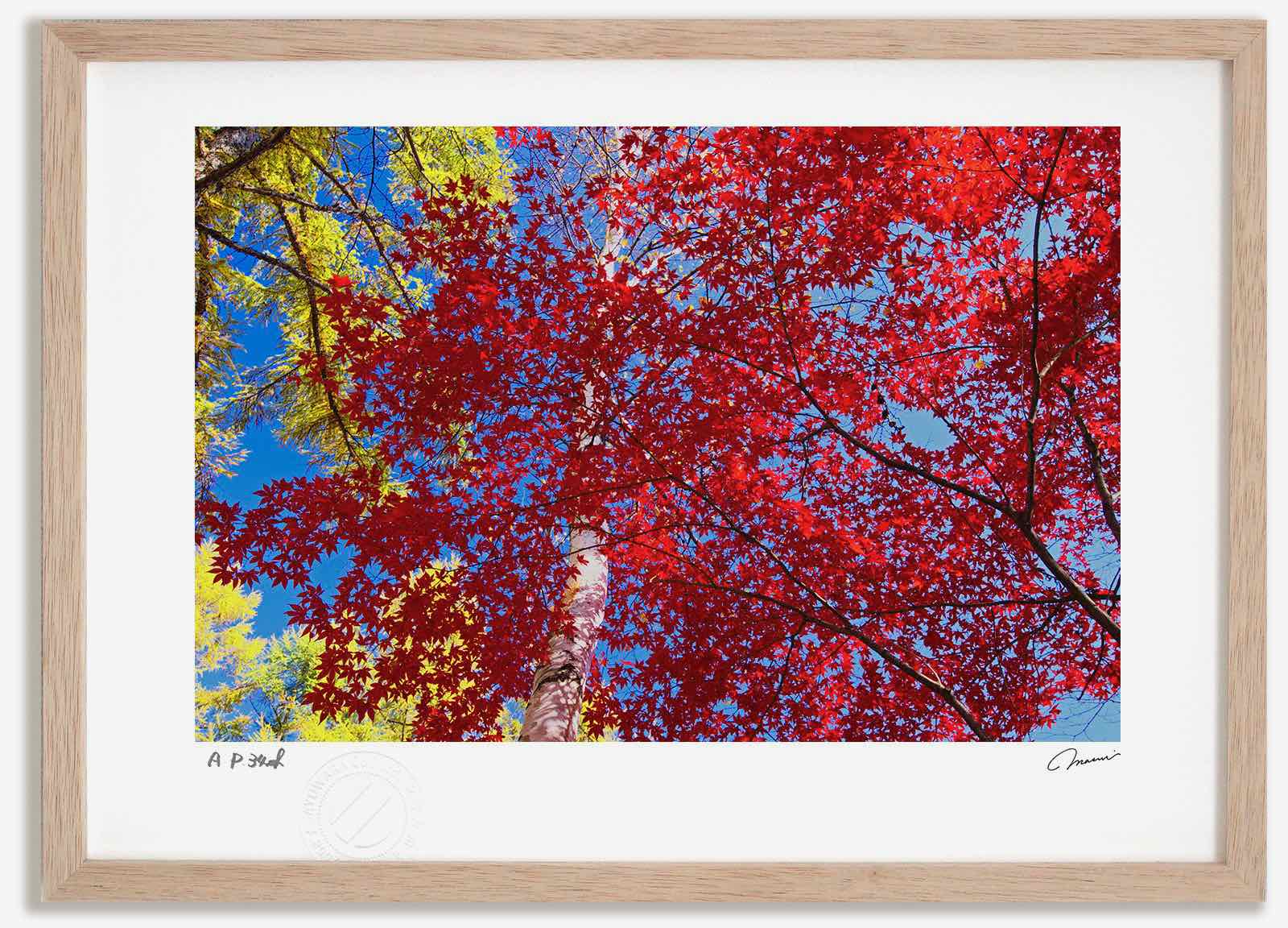 アートフォト 絵画 紅葉28/中富良野町 高橋真澄/インテリア 額入り 額装込 風景画 油絵 ポスター アート アートパネル リビング 玄関 プレゼント モダン アートフレーム 飾る おしゃれ 壁掛け 絵｜絵画・壁飾り　風景専門店あゆわら