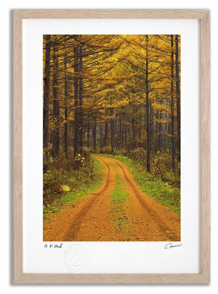 アートフォト 絵画 壁掛け 新雪と落ち葉3 富良野 美瑛 高橋真澄 インテリア 壁掛け 額入り モダン アートフレーム おしゃれ