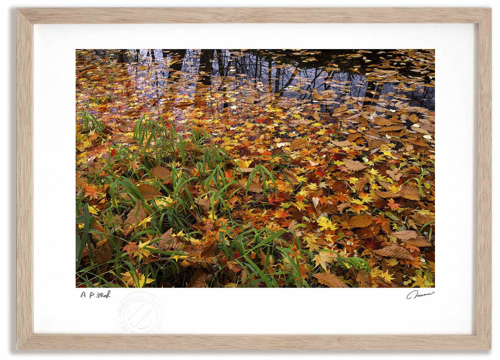 アートフォト 絵画 紅葉の鳥沼1 高橋真澄/インテリア 額入り 額装込 風景画 油絵 ポスター アート アートパネル リビング 玄関 プレゼント モダン アートフレーム 飾る おしゃれ 壁掛け 絵｜絵画・壁飾り　風景専門店あゆわら 15,400円