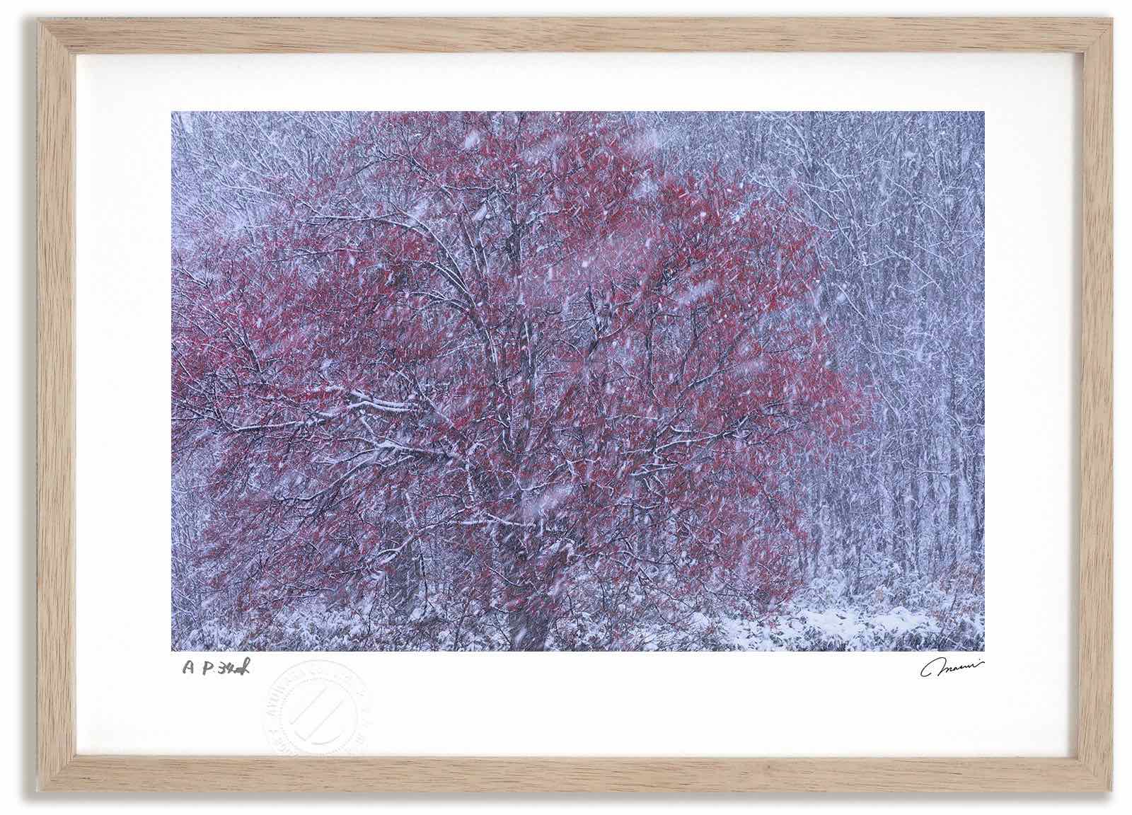 アートフォト 絵画 降雪1 高橋真澄/インテリア 額入り 額装込 風景画 油絵 ポスター アート アートパネル リビング 玄関 プレゼント モダン アートフレーム 飾る おしゃれ 壁掛け 絵｜絵画・壁飾り　風景専門店あゆわら
