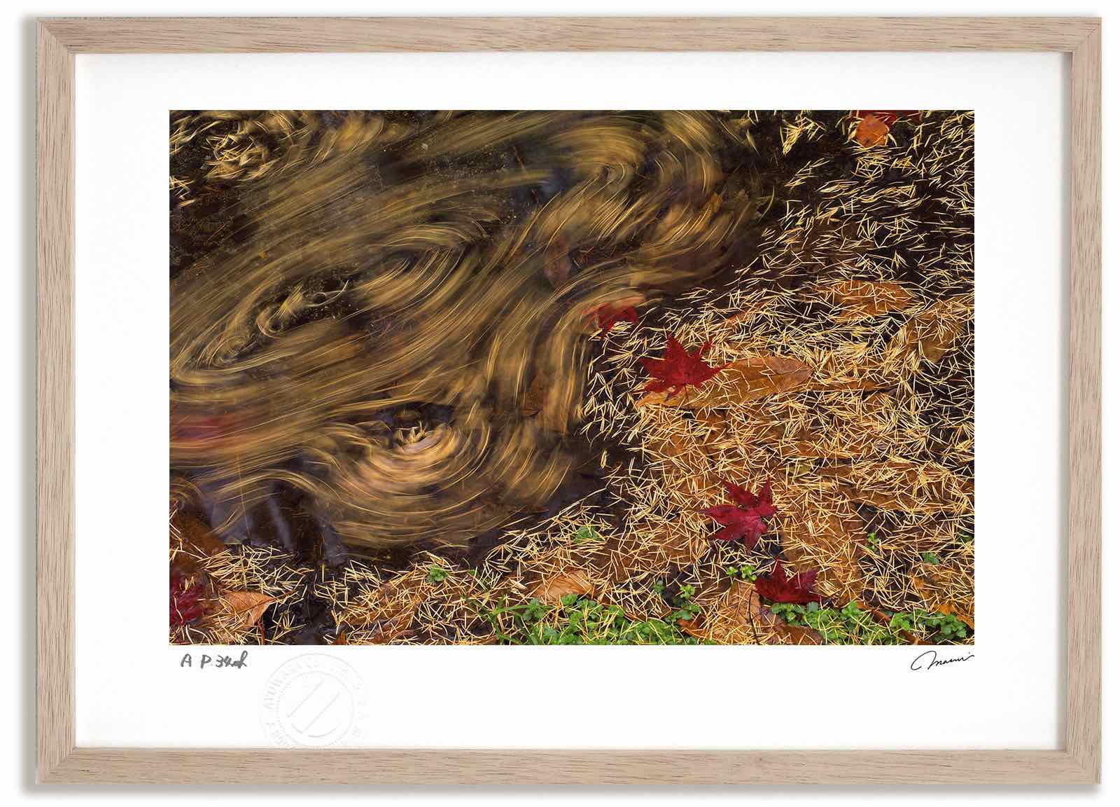 アートフォト 絵画 紅葉と水の流れ2 高橋真澄/インテリア 額入り 額装込 風景画 油絵 ポスター アート アートパネル リビング 玄関 プレゼント モダン アートフレーム 飾る おしゃれ 壁掛け 絵｜絵画・壁飾り　風景専門店あゆわら 15,620円