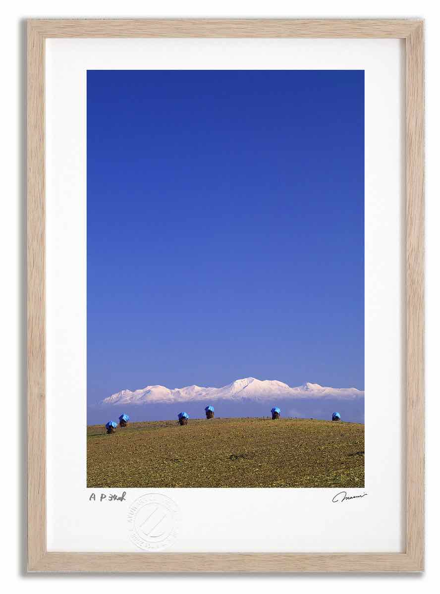 アートフォト 絵画 大雪山と豆積み2 高橋真澄/インテリア 額入り 額装込 風景画 油絵 ポスター アート アートパネル リビング 玄関 プレゼント モダン アートフレーム 飾る おしゃれ 壁掛け 絵|絵画・壁飾り 風景専門店あゆわら