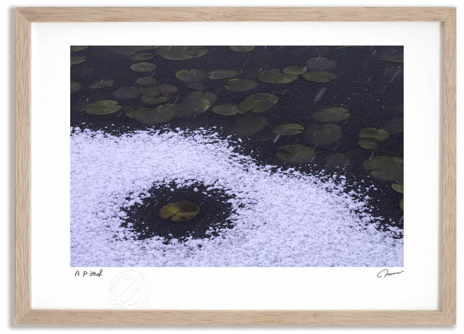 アートフォト 絵画 睡蓮に初雪1 高橋真澄/インテリア 額入り 額装込 風景画 油絵 ポスター アート アートパネル リビング 玄関 プレゼント モダン アートフレーム 飾る おしゃれ 壁掛け 絵