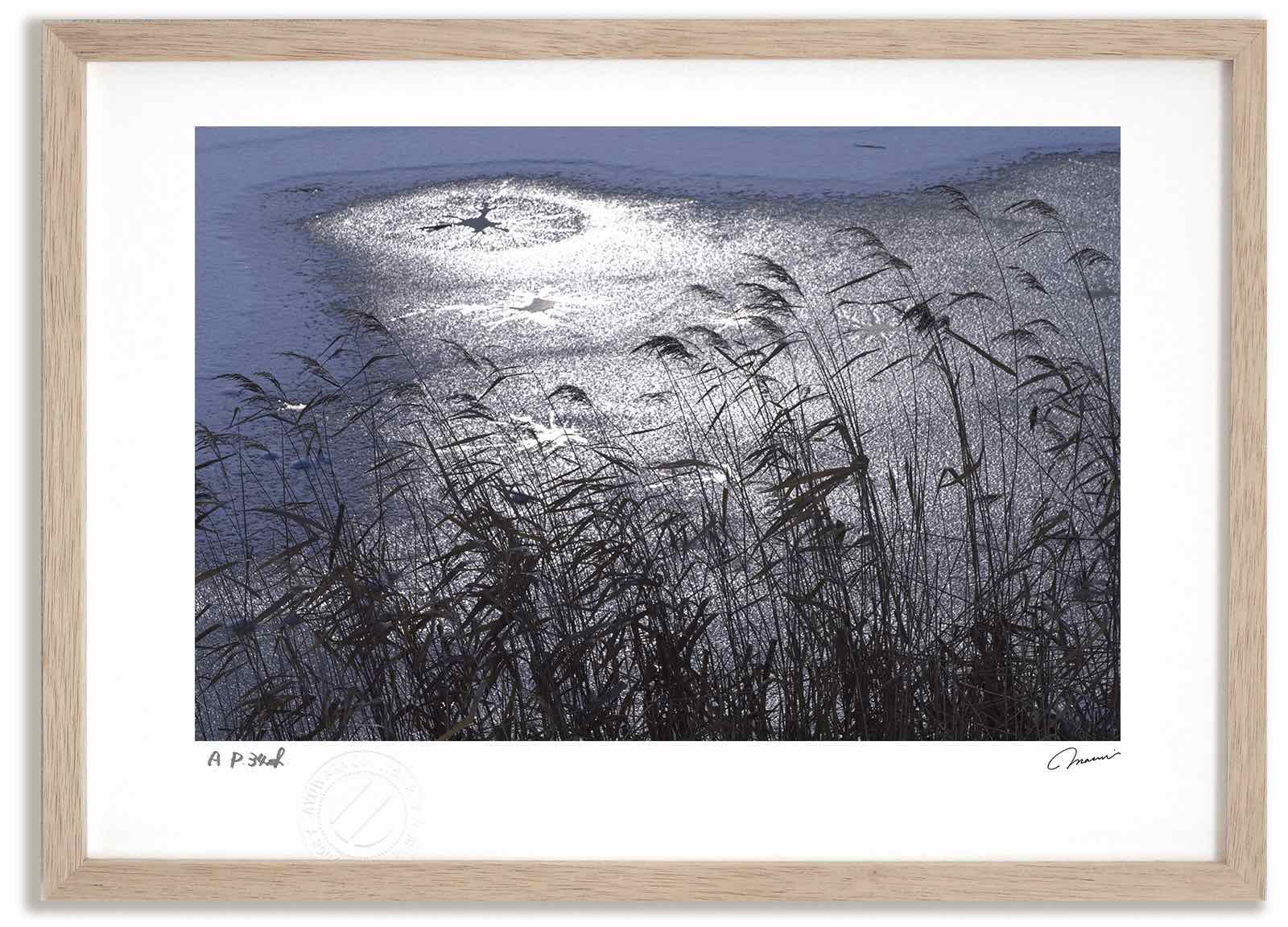 アートフォト 絵画 池の文様 高橋真澄/インテリア 額入り 額装込 風景画 油絵 ポスター アート アートパネル リビング 玄関 プレゼント モダン アートフレーム 飾る おしゃれ 壁掛け 絵|絵画・壁飾り 風景専門店あゆわら