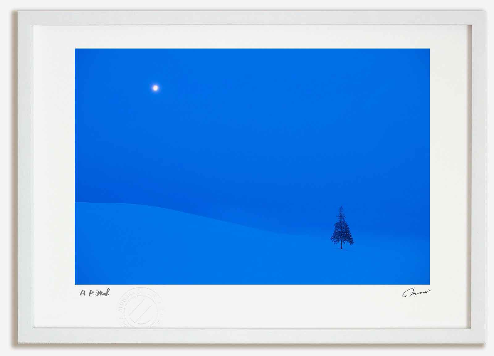 アートフォト 絵画 月とクリスマスツリーの木1 高橋真澄/インテリア 額入り 額装込 風景画 油絵 ポスター アート アートパネル リビング 玄関 プレゼント モダン アートフレーム 飾る おしゃれ 壁掛け 絵|絵画・壁飾り 風景専門店あゆわら