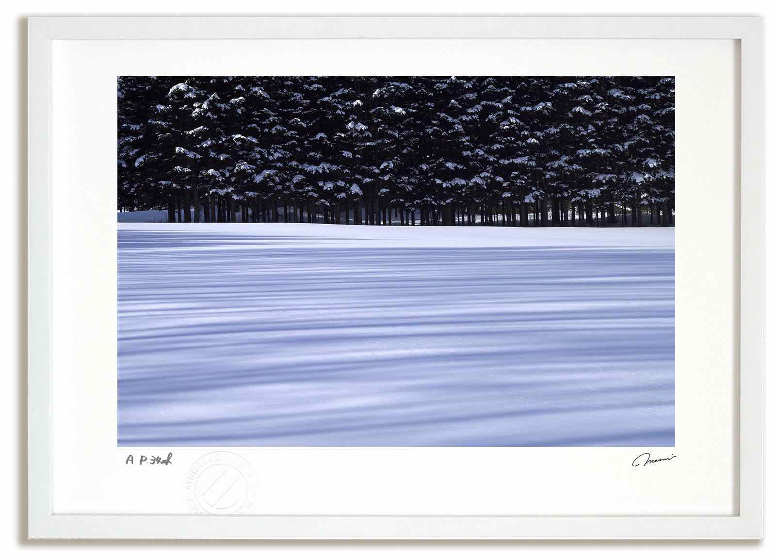 アートフォト 絵画 樹影2/占冠村 高橋真澄/インテリア 額入り 額装込 風景画 油絵 ポスター アート アートパネル リビング 玄関 プレゼント モダン アートフレーム 飾る おしゃれ 壁掛け 絵|絵画・壁飾り 風景専門店あゆわら