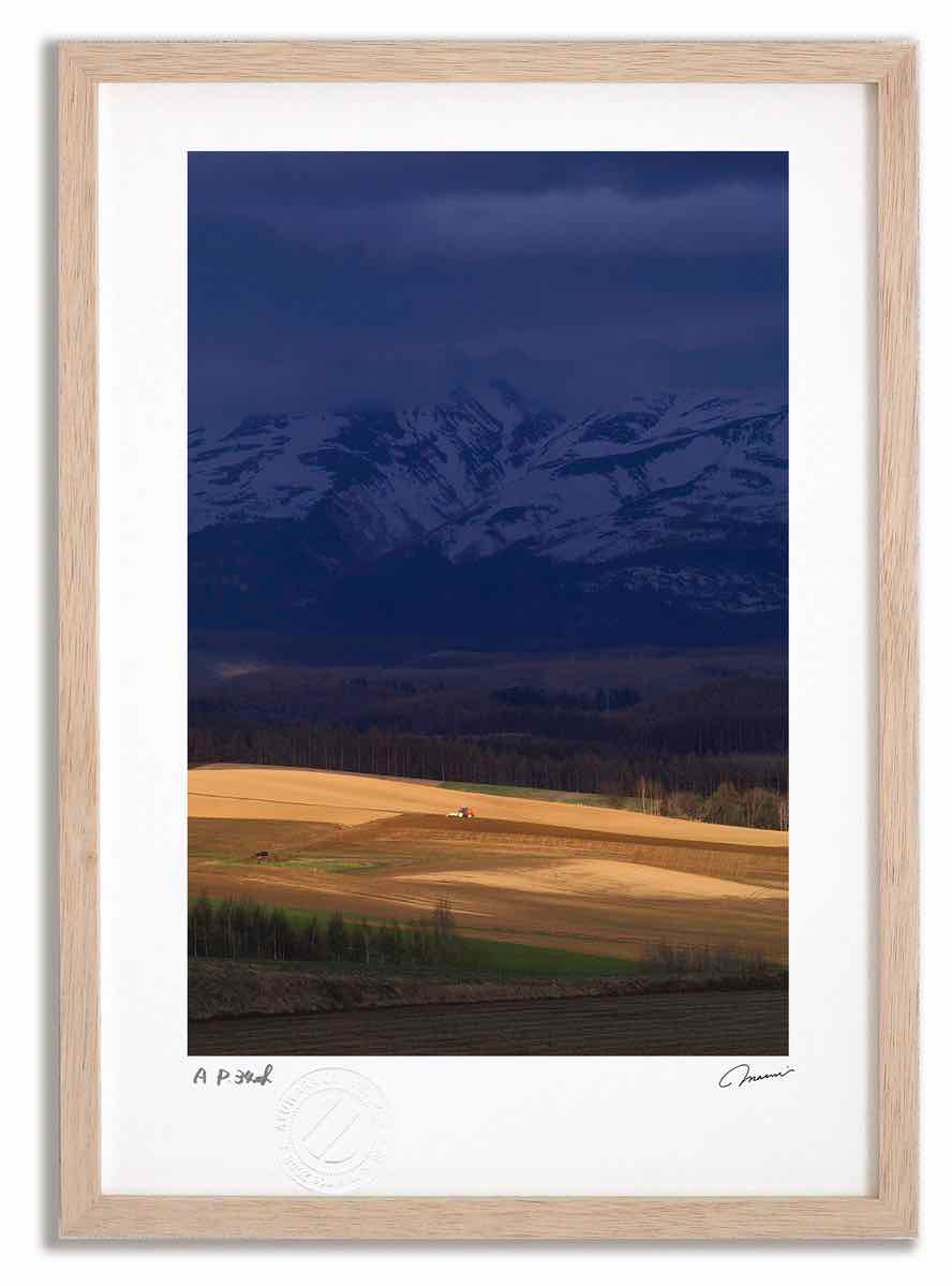 アートフォト 絵画 寸光の大地3 高橋真澄/インテリア 額入り 額装込 風景画 油絵 ポスター アート アートパネル リビング 玄関 プレゼント モダン アートフレーム 飾る おしゃれ 壁掛け 絵