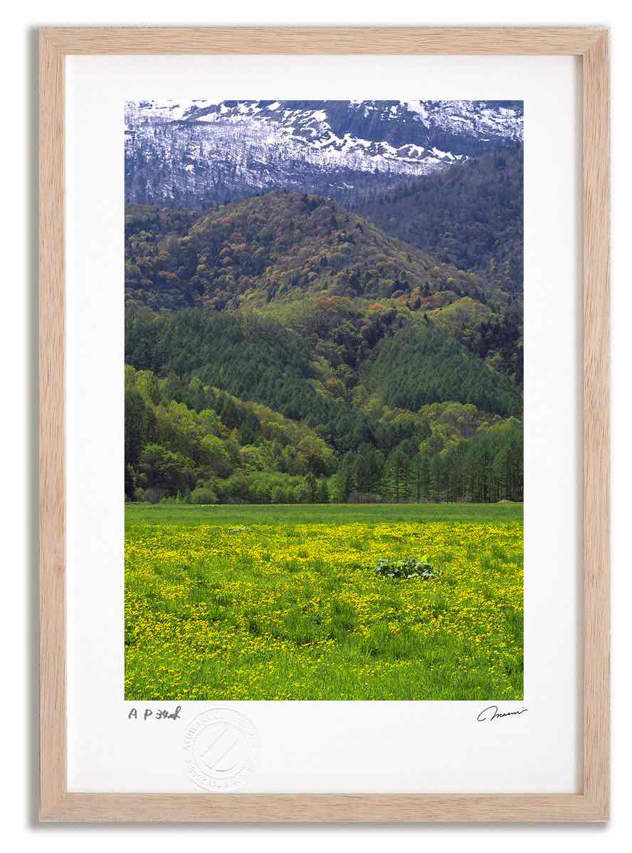 アートフォト 絵画 タンポポと春の景色 高橋真澄/インテリア 額入り 額装込 風景画 油絵 ポスター アート アートパネル リビング 玄関 プレゼント モダン アートフレーム 飾る おしゃれ 壁掛け 絵|絵画・壁飾り 風景専門店あゆわら