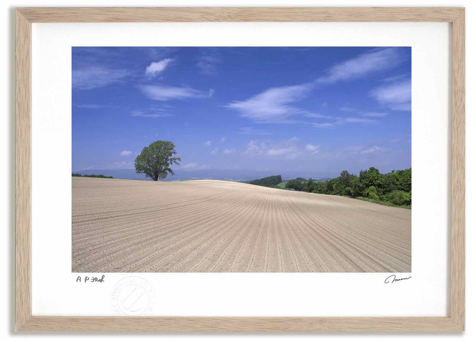 アートフォト 絵画 壁掛け 哲学の木1 高橋真澄 インテリア 額入り 額装込 風景画 油絵 ポスター アート アートパネル リビング 玄関 プレゼント モダン アートフレーム おしゃれ 飾る Mサイズ 巣ごもり 超お買い得