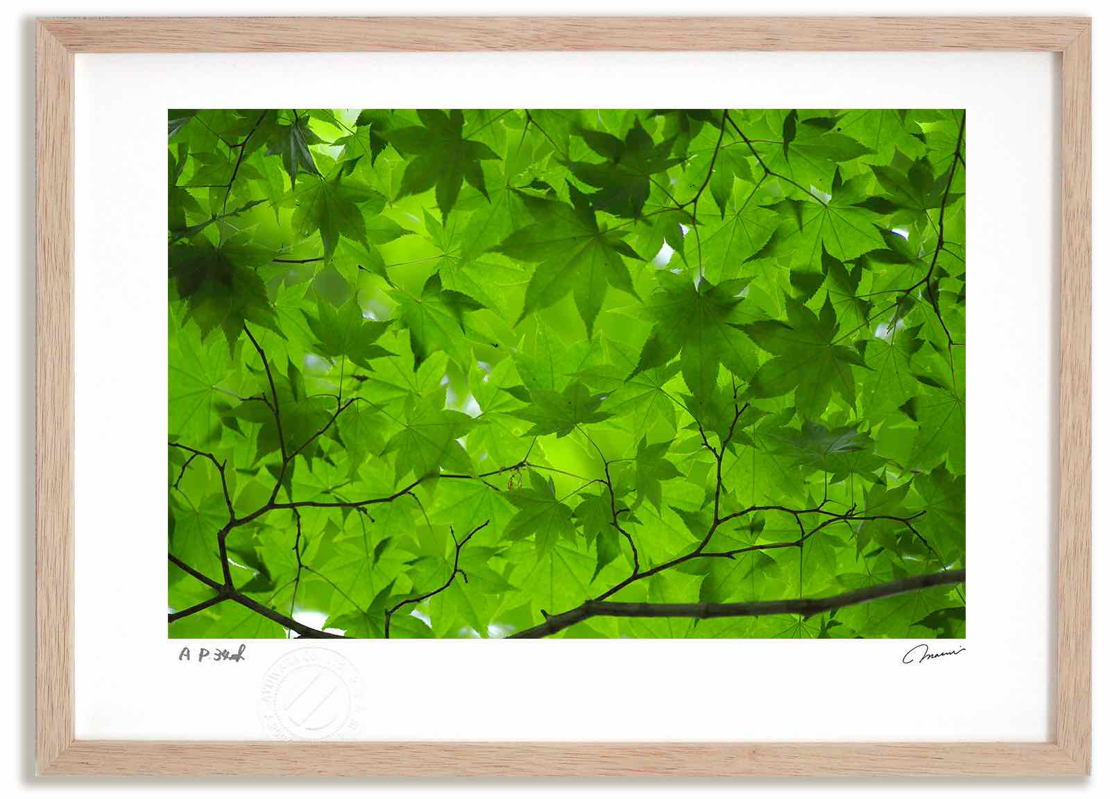 アートフォト 絵画 緑3 高橋真澄/インテリア 額入り 額装込 風景画 油絵 ポスター アート アートパネル リビング 玄関 プレゼント モダン アートフレーム 飾る おしゃれ 壁掛け 絵|絵画・壁飾り 風景専門店あゆわら
