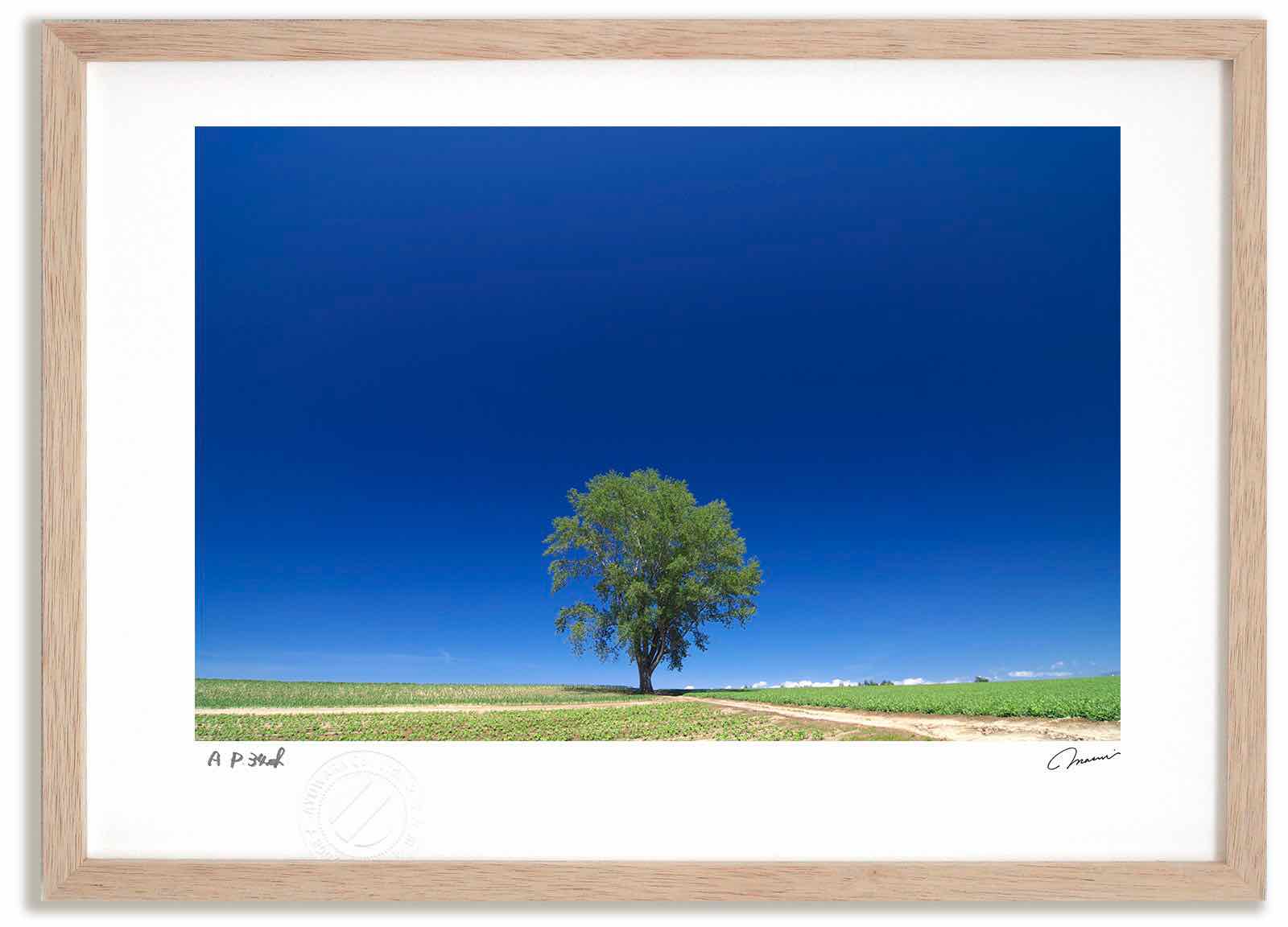 アートフォト 絵画 壁掛け 哲学の木2 高橋真澄 インテリア 額入り 額装込 風景画 油絵 ポスター アート アートパネル リビング 玄関 プレゼント モダン アートフレーム おしゃれ 飾る Mサイズ 巣ごもり 予約販売品