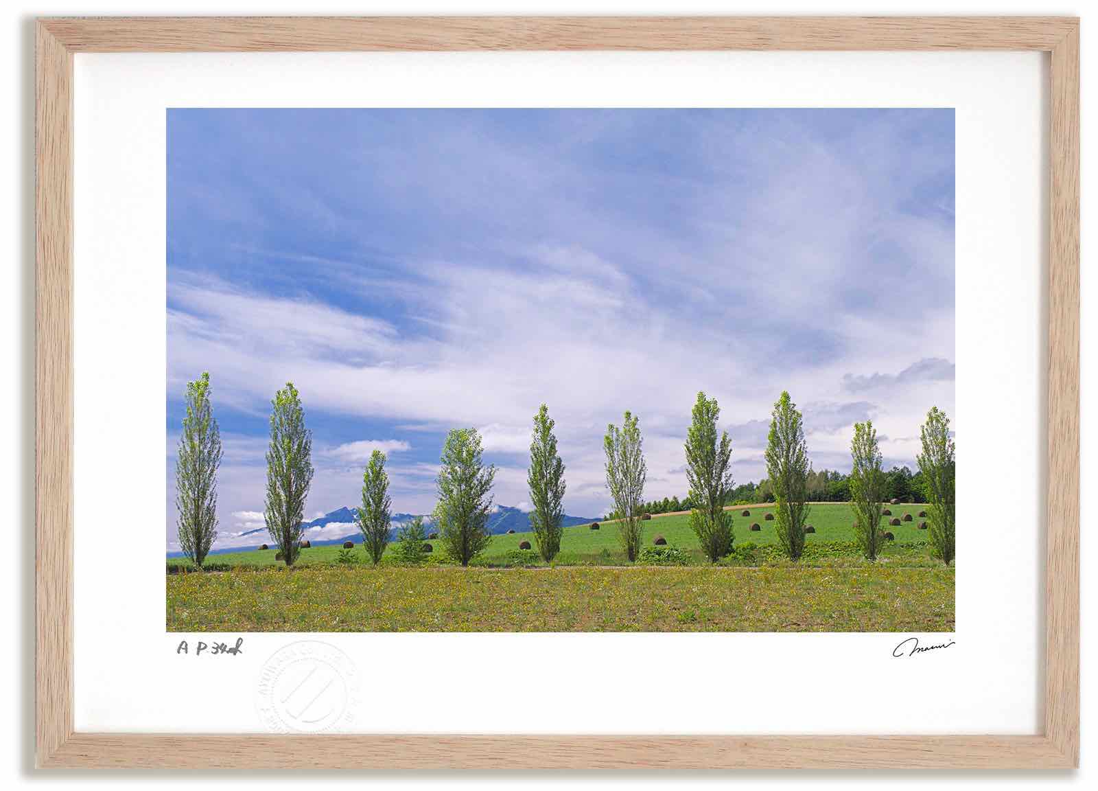 アートフォト 絵画 ポプラ並木2 高橋真澄/インテリア 額入り 額装込 風景画 油絵 ポスター アート アートパネル リビング 玄関 プレゼント モダン アートフレーム 飾る おしゃれ 壁掛け 絵|絵画・壁飾り 風景専門店あゆわら