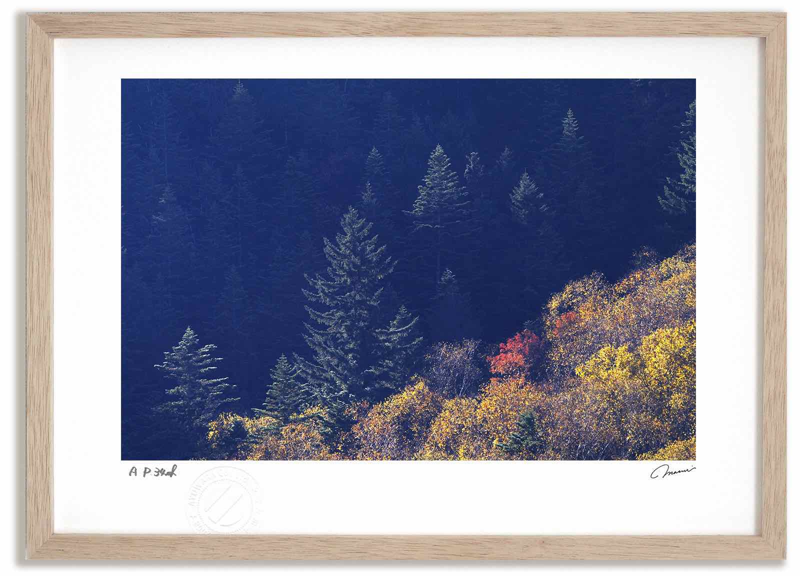 アートフォト 絵画 大雪山の紅葉9 高橋真澄/インテリア 額入り 額装込 風景画 油絵 ポスター アート アートパネル リビング 玄関 プレゼント モダン アートフレーム 飾る おしゃれ 壁掛け 絵|絵画・壁飾り 風景専門店あゆわら