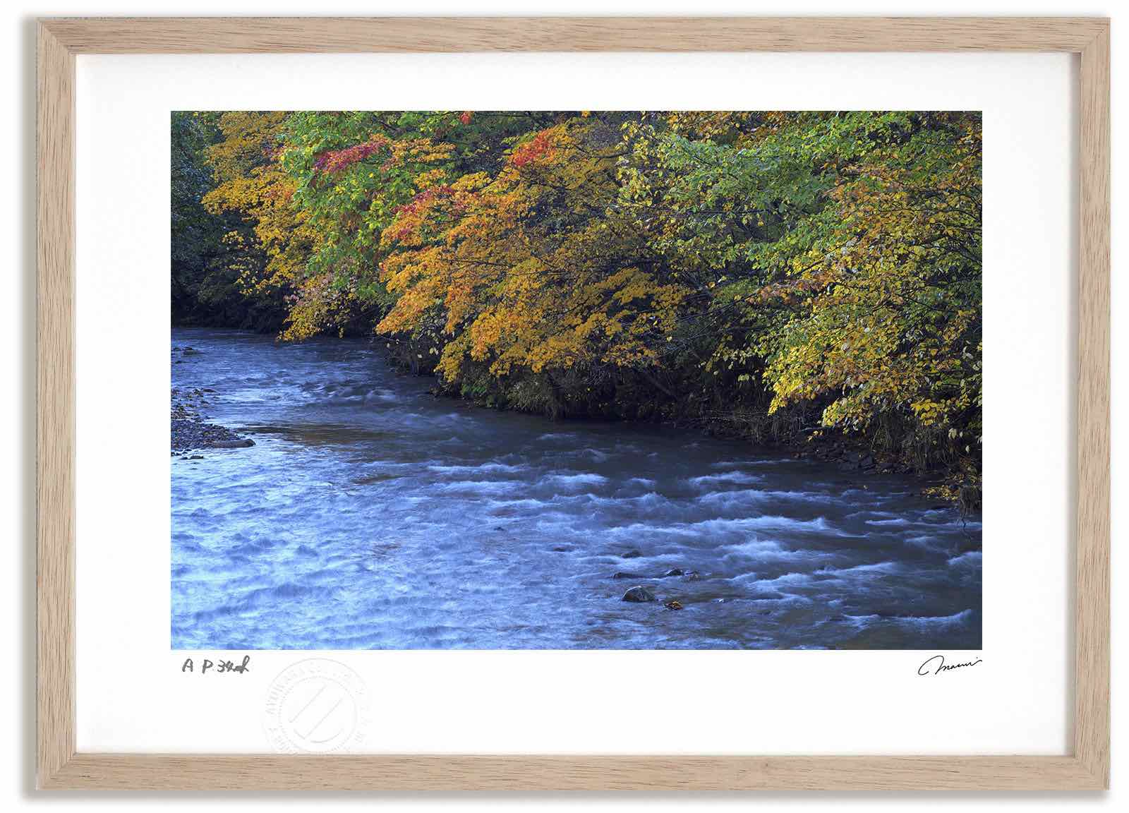 アートフォト 絵画 紅葉32 高橋真澄/インテリア 額入り 額装込 風景画 油絵 ポスター アート アートパネル リビング 玄関 プレゼント モダン アートフレーム 飾る おしゃれ 壁掛け 絵|絵画・壁飾り 風景専門店あゆわら