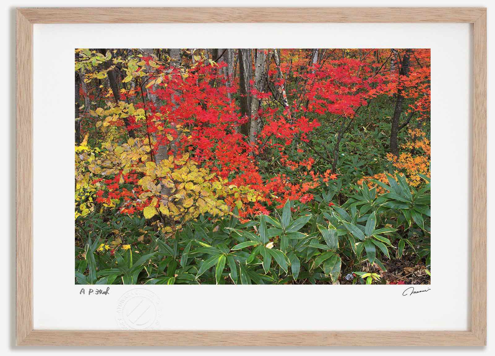 アートフォト 絵画 紅葉39 高橋真澄/インテリア 額入り 額装込 風景画 油絵 ポスター アート アートパネル リビング 玄関 プレゼント モダン アートフレーム 飾る おしゃれ 壁掛け 絵｜絵画・壁飾り　風景専門店あゆわら