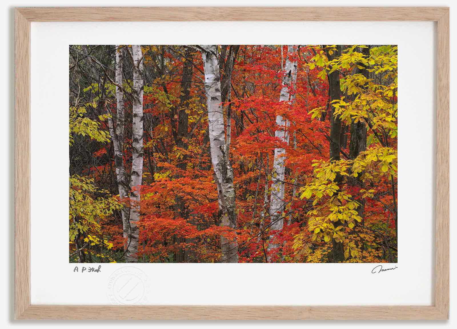 アートフォト 絵画 紅葉41 高橋真澄/インテリア 額入り 額装込 風景画 油絵 ポスター アート アートパネル リビング 玄関 プレゼント モダン アートフレーム 飾る おしゃれ 壁掛け 絵｜絵画・壁飾り　風景専門店あゆわら
