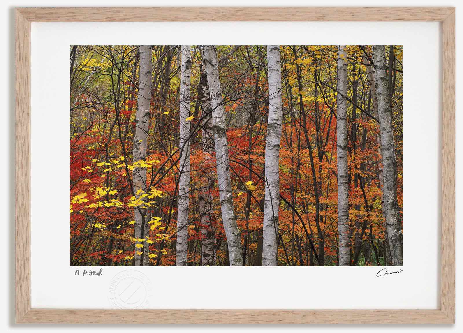 アートフォト 絵画 紅葉42 高橋真澄/インテリア 額入り 額装込 風景画 油絵 ポスター アート アートパネル リビング 玄関 プレゼント モダン アートフレーム 飾る おしゃれ 壁掛け 絵|絵画・壁飾り 風景専門店あゆわら
