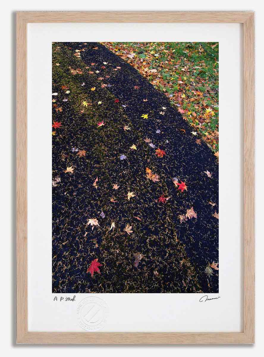 アートフォト 絵画 落葉 高橋真澄/インテリア 額入り 額装込 風景画 油絵 ポスター アート アートパネル リビング 玄関 プレゼント モダン アートフレーム 飾る おしゃれ 壁掛け 絵｜絵画・壁飾り　風景専門店あゆわら
