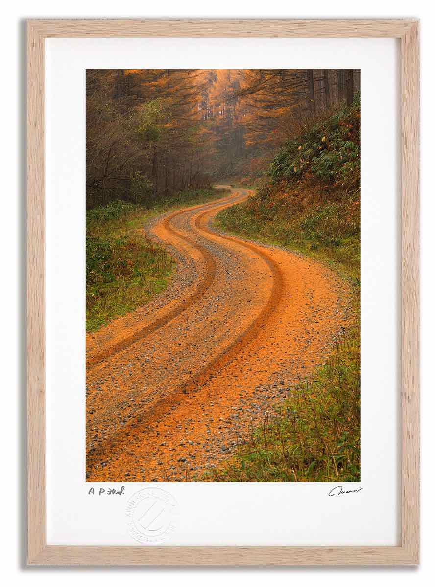 アートフォト 絵画 カラマツの道4 高橋真澄/インテリア 額入り 額装込 風景画 油絵 ポスター アート アートパネル リビング 玄関 プレゼント モダン アートフレーム 飾る おしゃれ 壁掛け 絵