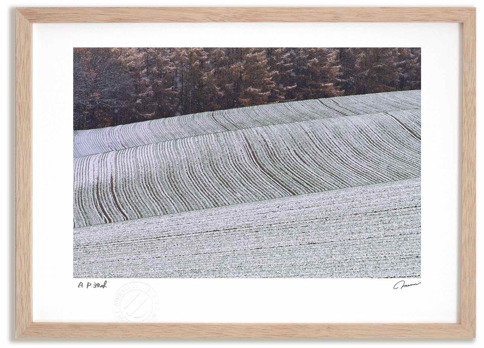 アートフォト 絵画 新雪の丘 高橋真澄/インテリア 額入り 額装込 風景画 油絵 ポスター アート アートパネル リビング 玄関 プレゼント モダン アートフレーム 飾る おしゃれ 壁掛け 絵｜絵画・壁飾り　風景専門店あゆわら