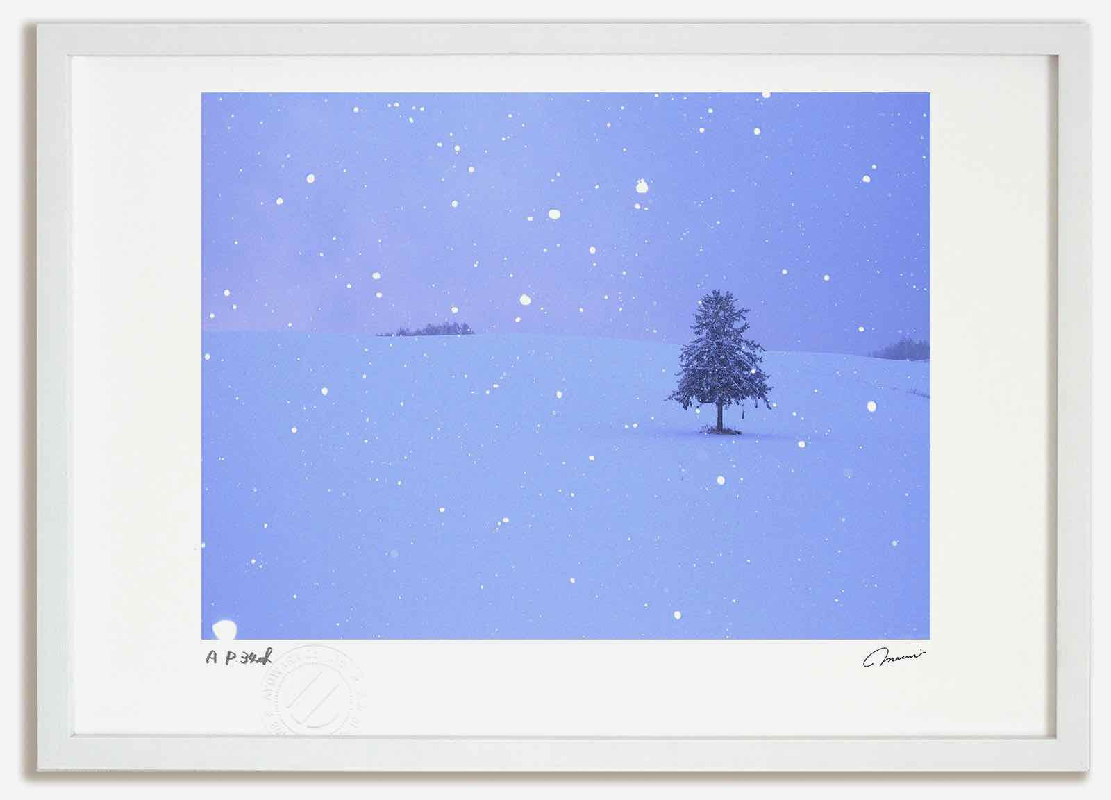 アートフォト 絵画 ベスト 春よ恋の木1 高橋真澄/インテリア 額入り 額装込 風景画 油絵 ポスター アート アートパネル リビング 玄関 プレゼント モダン アートフレーム 飾る おしゃれ 壁掛け 絵