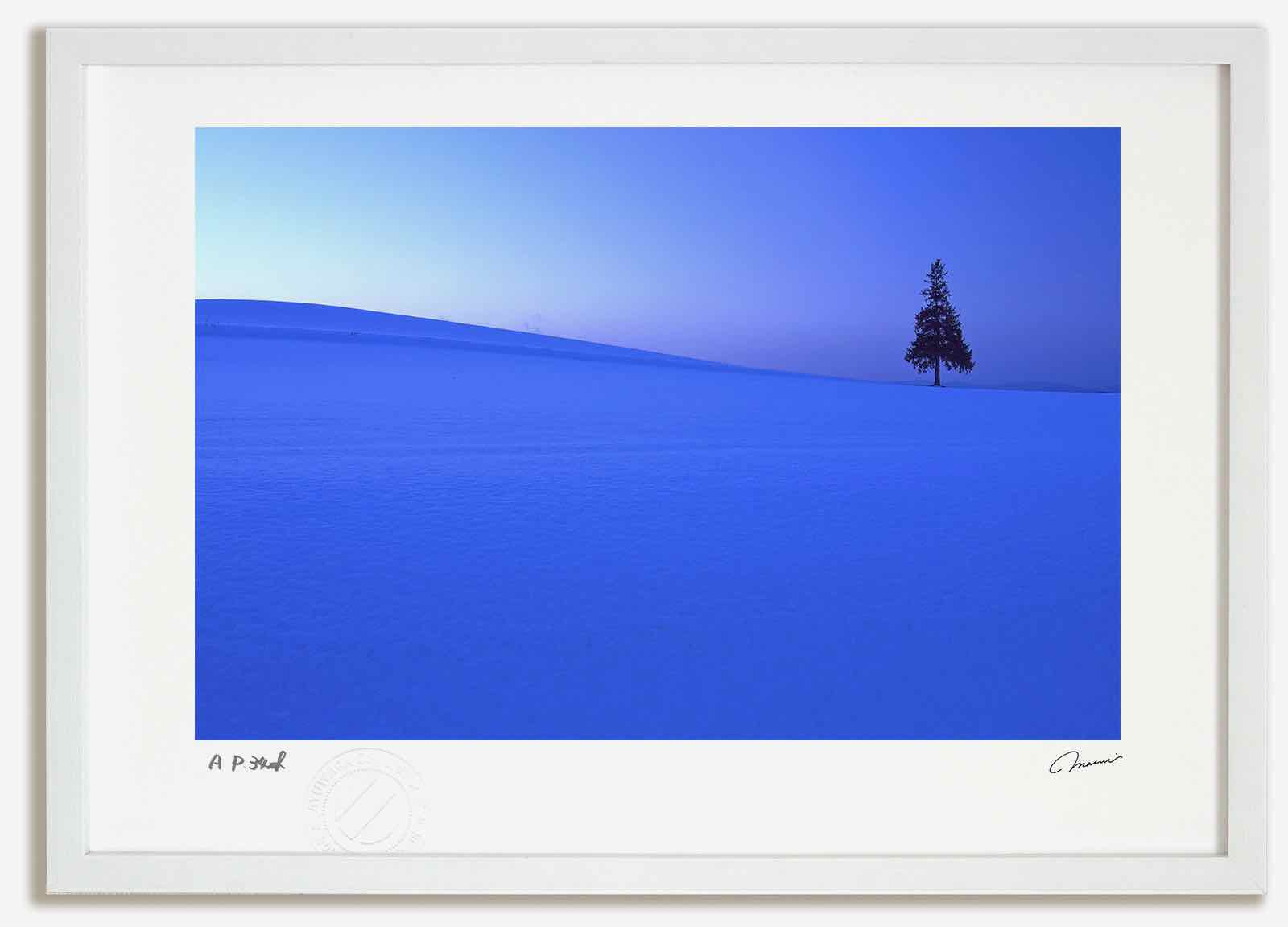 アートフォト 絵画 残照のクリスマスツリーの木1 高橋真澄/インテリア 額入り 額装込 風景画 油絵 ポスター アート アートパネル リビング 玄関 プレゼント モダン アートフレーム 飾る おしゃれ 壁掛け 絵