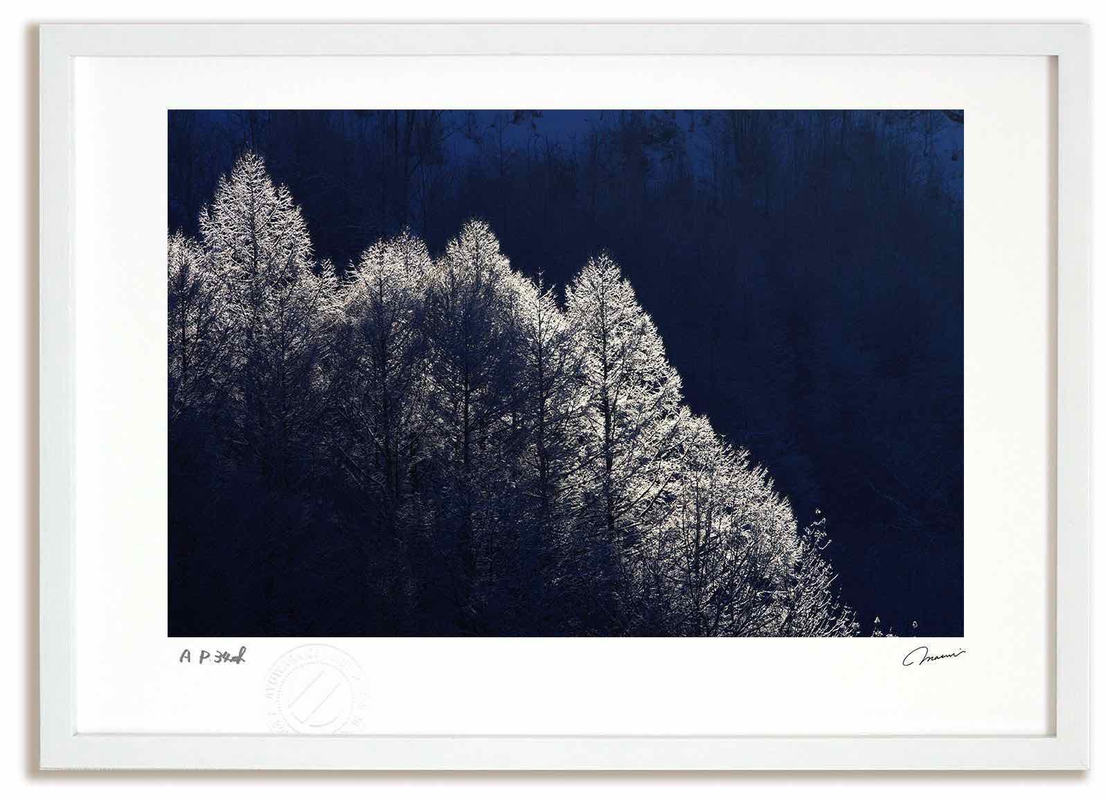 アートフォト 絵画 霧氷9/中富良野町 高橋真澄/インテリア 額入り 額装込 風景画 油絵 ポスター アート アートパネル リビング 玄関 プレゼント モダン アートフレーム 飾る おしゃれ 壁掛け 絵