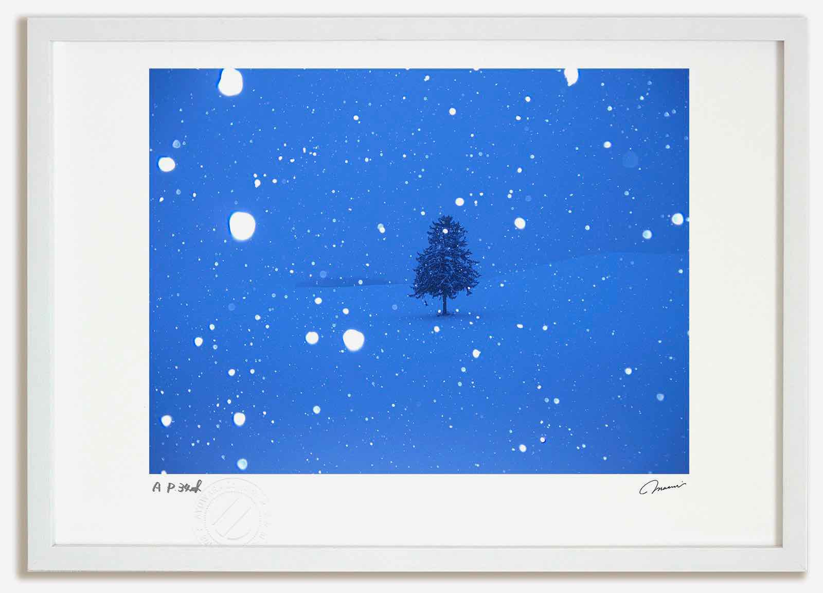 アートフォト 絵画 春よ恋の木2 高橋真澄/インテリア 額入り 額装込 風景画 油絵 ポスター アート アートパネル リビング 玄関 プレゼント モダン アートフレーム 飾る おしゃれ 壁掛け 絵|絵画・壁飾り 風景専門店あゆわら