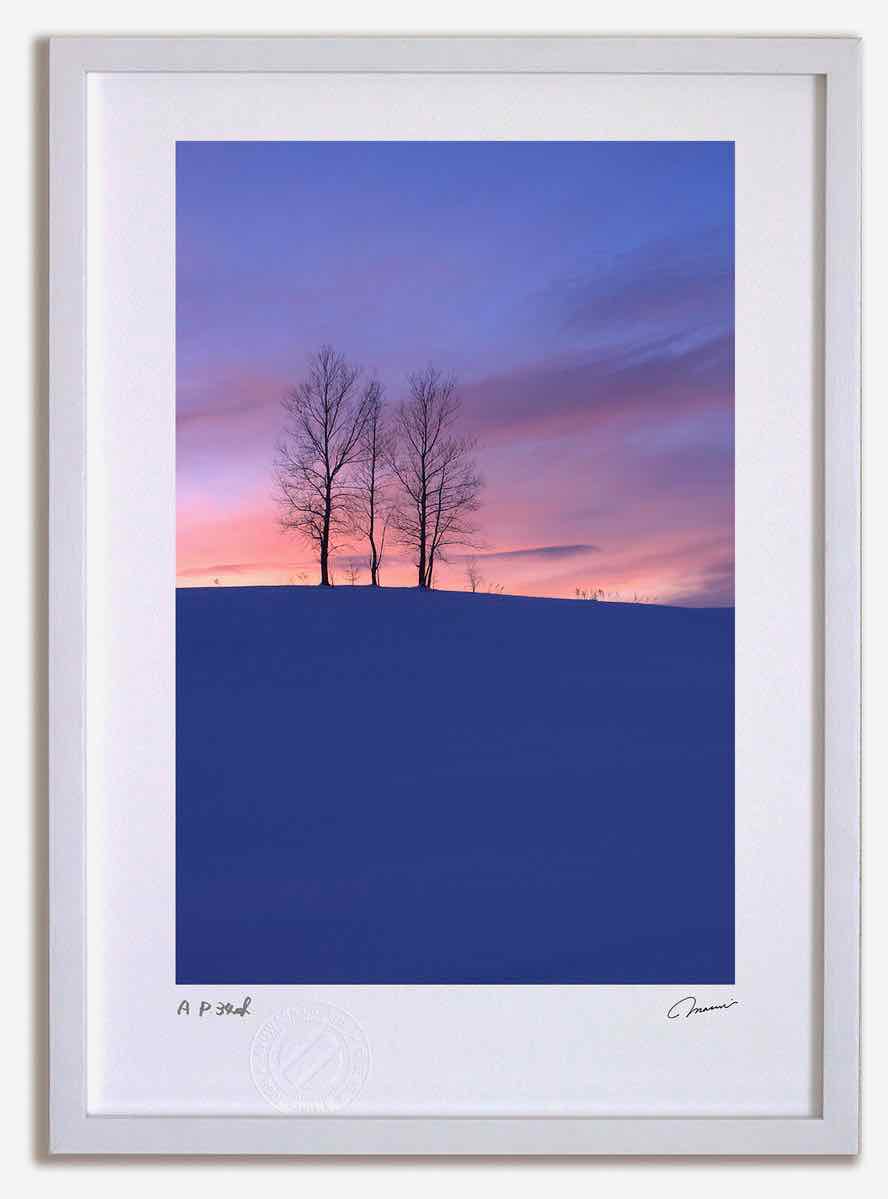 アートフォト 絵画 3本の木の夕日2 高橋真澄/インテリア 額入り 額装込 風景画 油絵 ポスター アート アートパネル リビング 玄関 プレゼント モダン アートフレーム 飾る おしゃれ 壁掛け 絵|絵画・壁飾り 風景専門店あゆわら