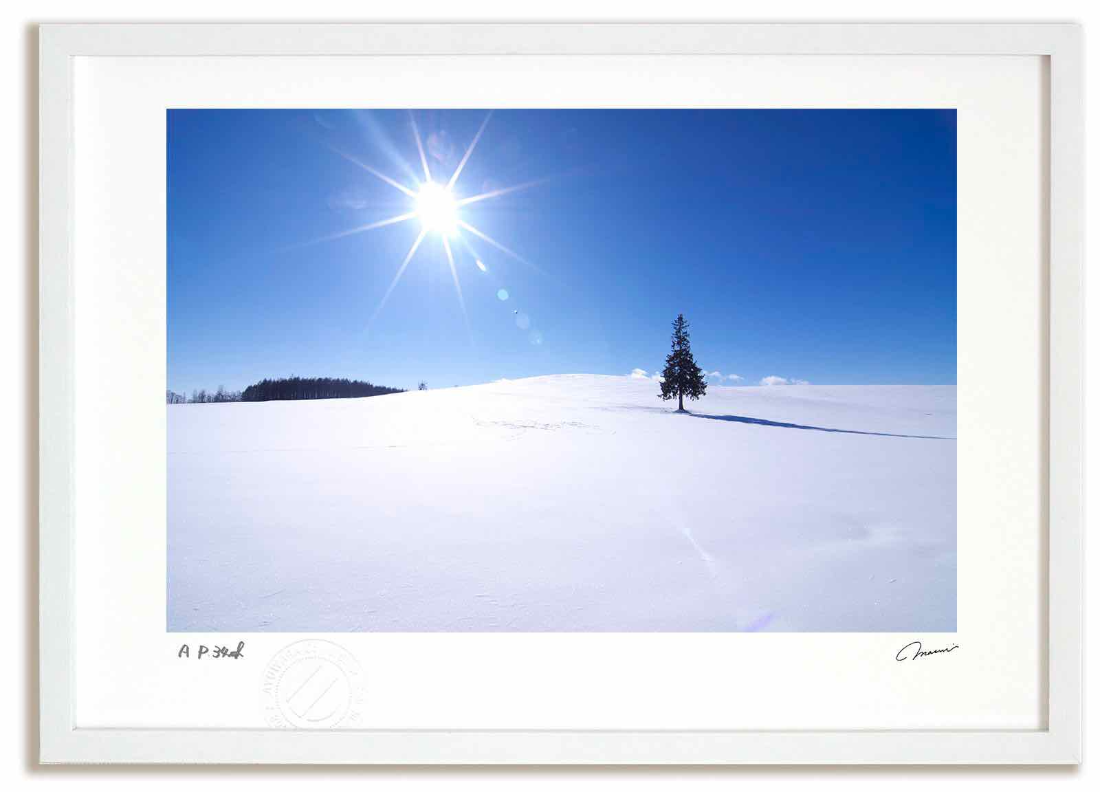 アートフォト 絵画 クリスマスツリーの木と太陽1 高橋真澄/インテリア 額入り 額装込 風景画 油絵 ポスター アート アートパネル リビング 玄関 プレゼント モダン アートフレーム 飾る おしゃれ 壁掛け 絵|絵画・壁飾り 風景専門店あゆわら