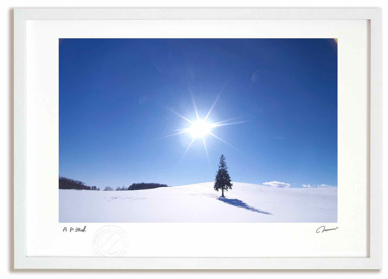 アートフォト 絵画 クリスマスツリーの木と太陽4 高橋真澄/インテリア 額入り 額装込 風景画 油絵 ポスター アート アートパネル リビング 玄関 プレゼント モダン アートフレーム 飾る おしゃれ 壁掛け 絵|絵画・壁飾り 風景専門店あゆわら